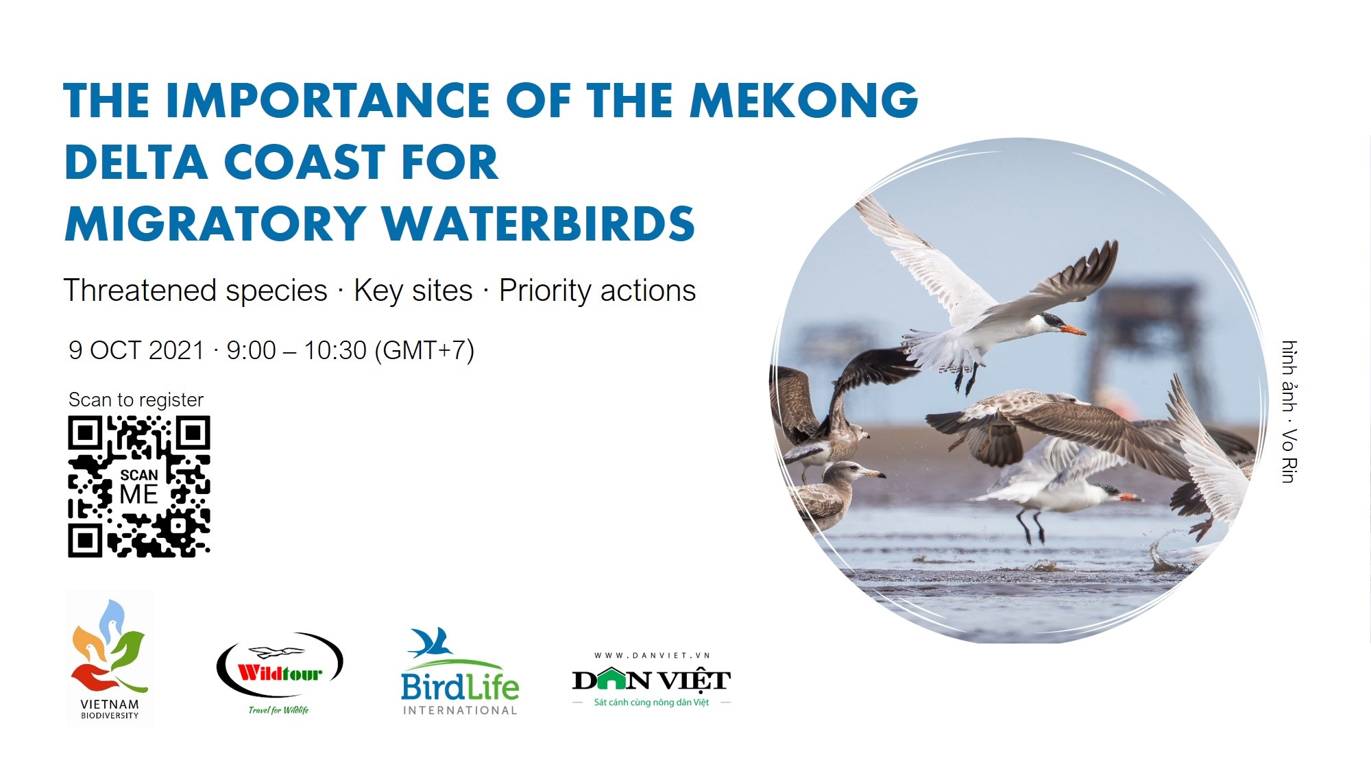 webinar-conservation-shorebirds-in-vietnam