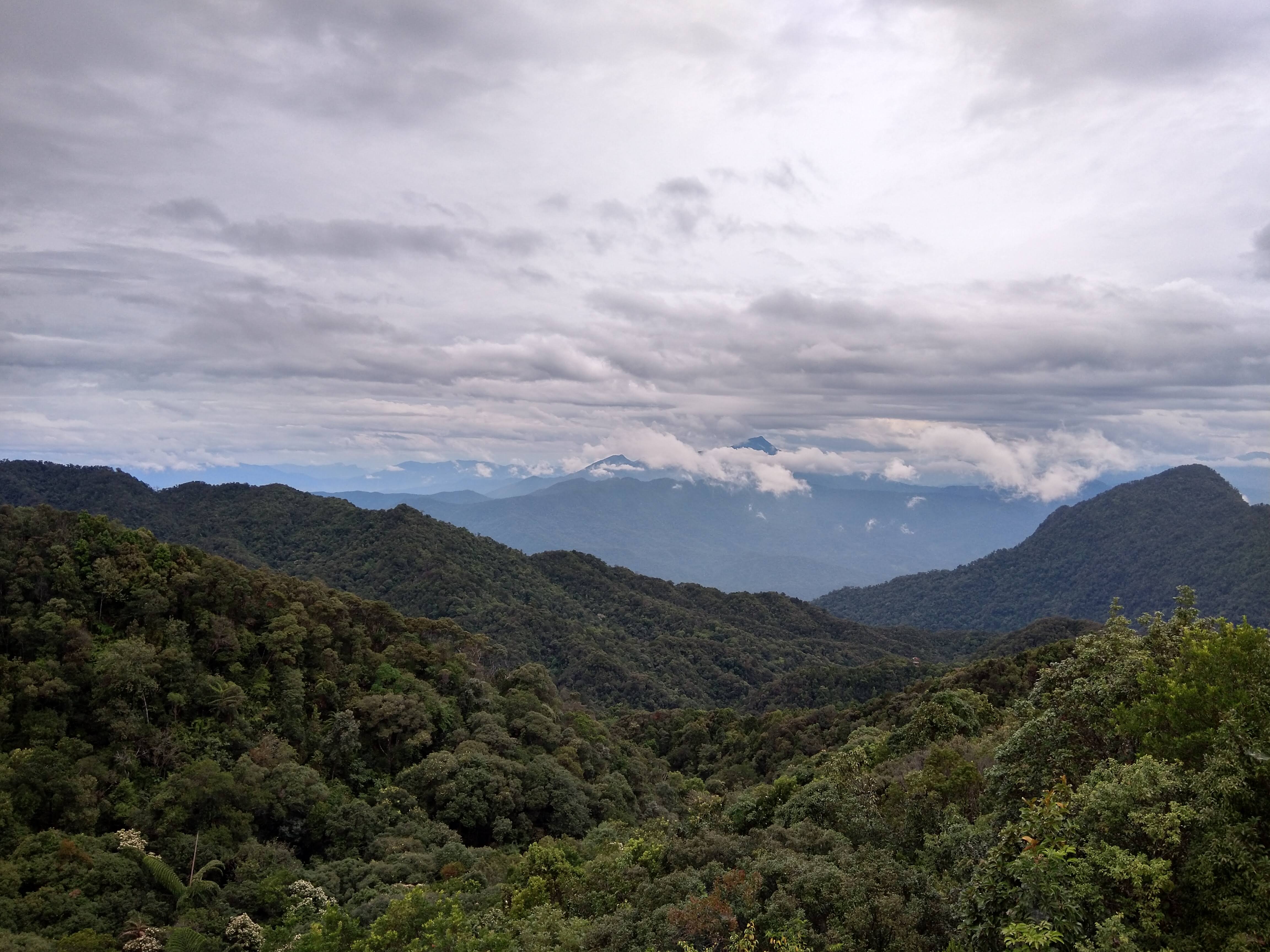 Bach Ma NP is not only a birdwatching hotspot but also a stunning landscape